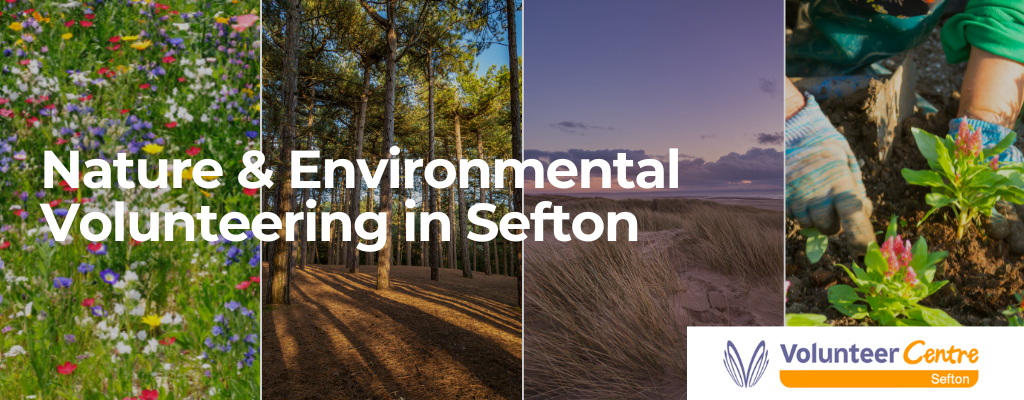Nature and Environmental Volunteering in Sefton